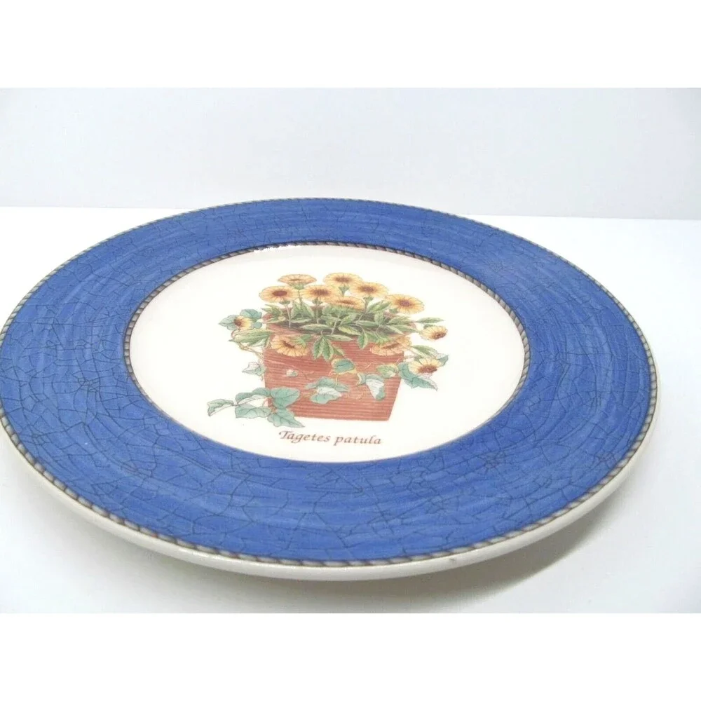 Wedgwood Queen's Ware England Sarah's Garden Tagetes patula Salad Plate 8
